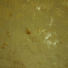 Load image into Gallery viewer, Crush Velvet