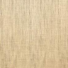 Load image into Gallery viewer, DALTREY