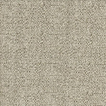 Load image into Gallery viewer, GALIANO