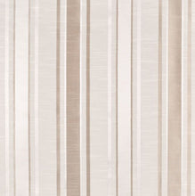 Load image into Gallery viewer, DARIUS 500