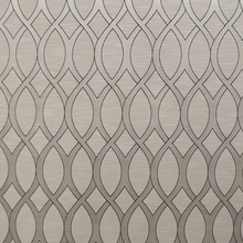 Load image into Gallery viewer, DARIUS 200