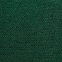 Load image into Gallery viewer, MASTIC