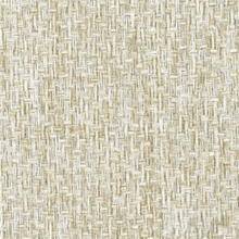 Load image into Gallery viewer, IBANEZ