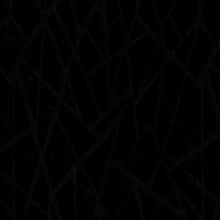 Load image into Gallery viewer, SENECA 101 FR