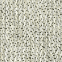 Load image into Gallery viewer, IBANEZ