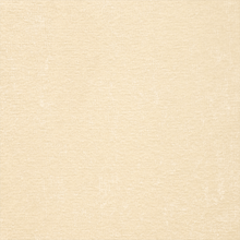 Load image into Gallery viewer, EVEREST