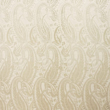 Load image into Gallery viewer, DARIUS 400