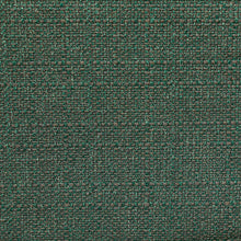 Load image into Gallery viewer, PECONIC