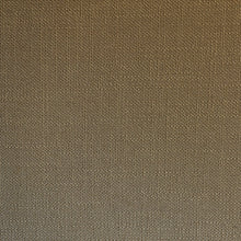 Load image into Gallery viewer, COLTON FR