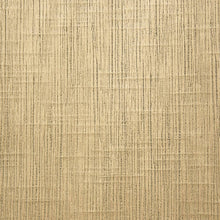 Load image into Gallery viewer, DALTREY