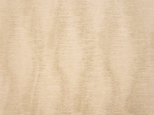 Load image into Gallery viewer, SANTANA 500