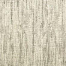 Load image into Gallery viewer, DALTREY