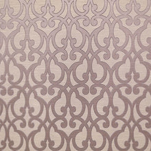 Load image into Gallery viewer, DARIUS 300