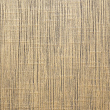 Load image into Gallery viewer, DALTREY