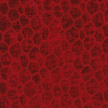 Load image into Gallery viewer, SENECA 222 FR