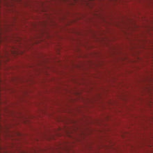 Load image into Gallery viewer, SENECA 555 FR