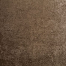 Load image into Gallery viewer, SHELBY 566
